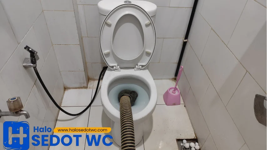 sedot wc jakarta barat