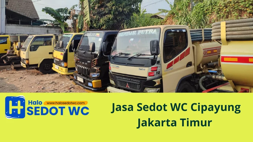 jasa sedot wc cipayung