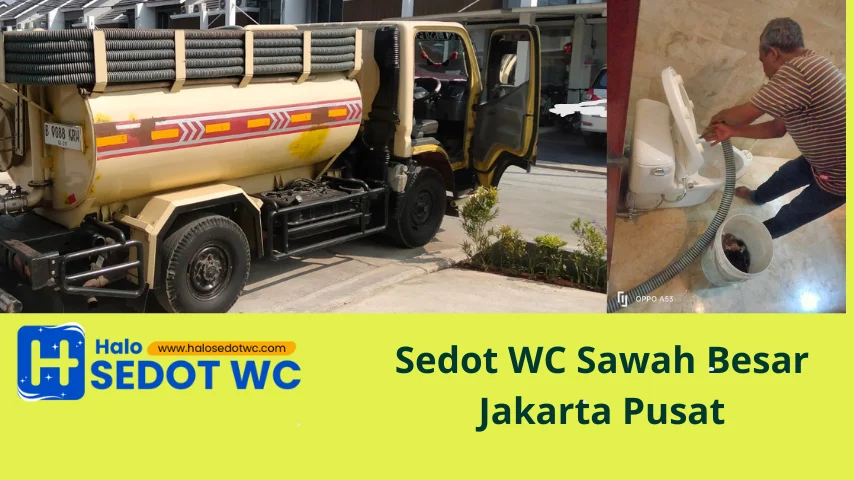 sedot wc sawah besar
