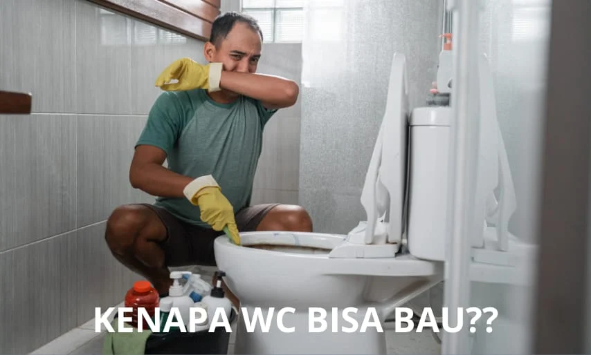 wc bau