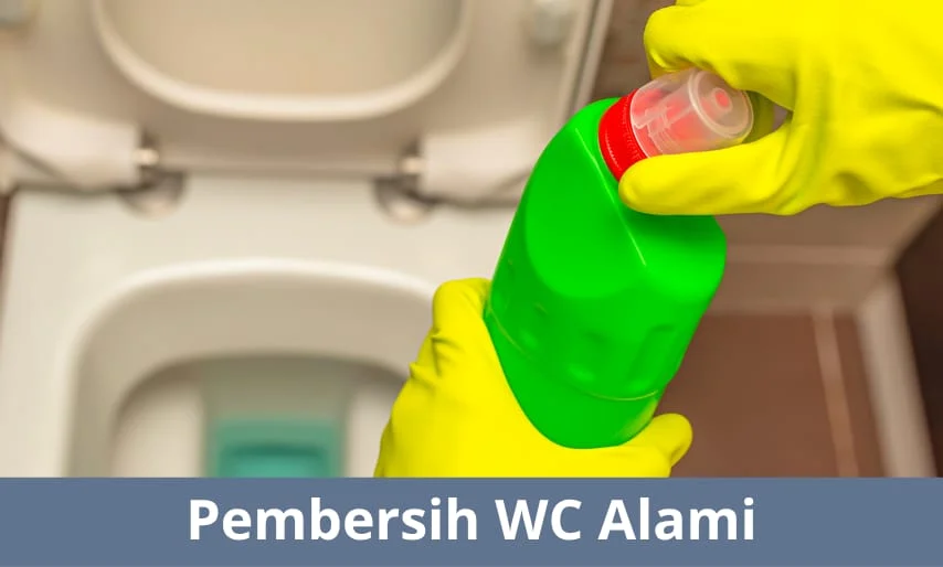 pembersih wc alami