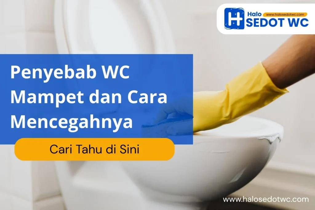 Penyebab WC Mampet dan Cara Mencegahnya