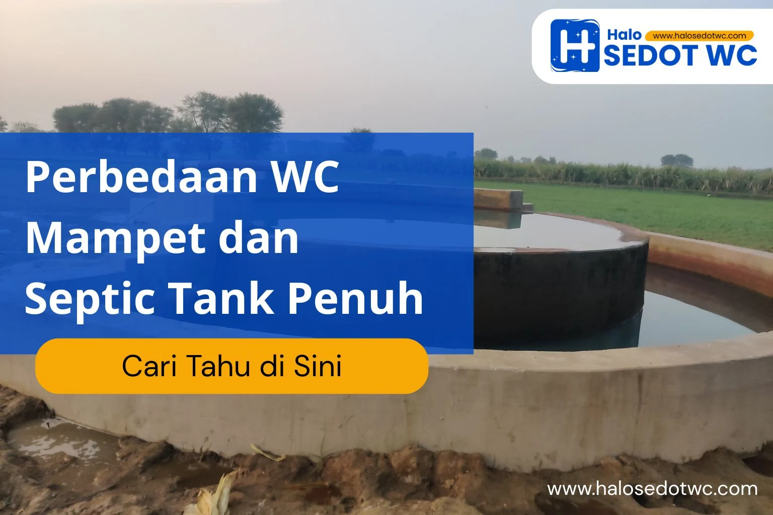 Perbedaan WC Mampet dan Septic Tank Penuh